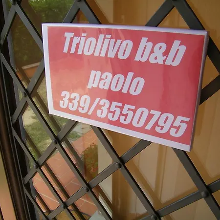Triolivo B&B 루카