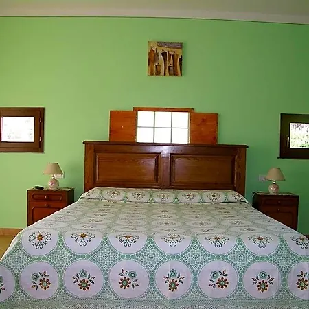 Triolivo 3*