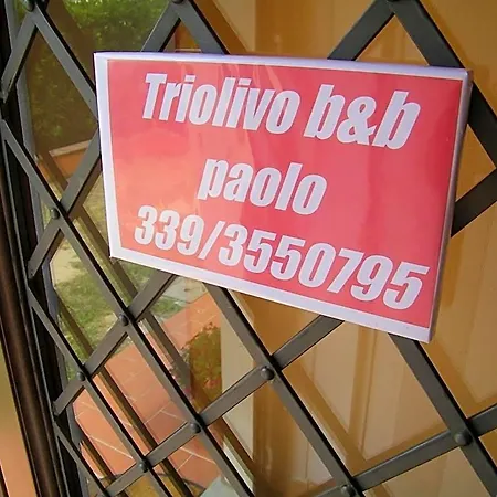 Triolivo Bed & Breakfast 3*