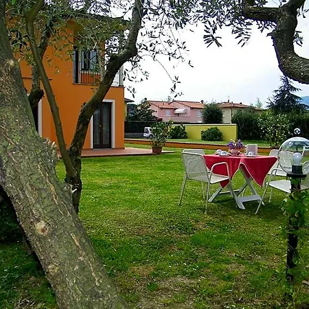 Triolivo
