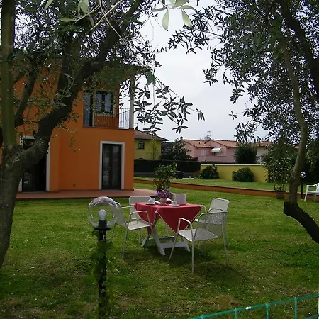 Triolivo *
